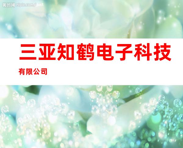 三亚知鹤电子科技有限公司
