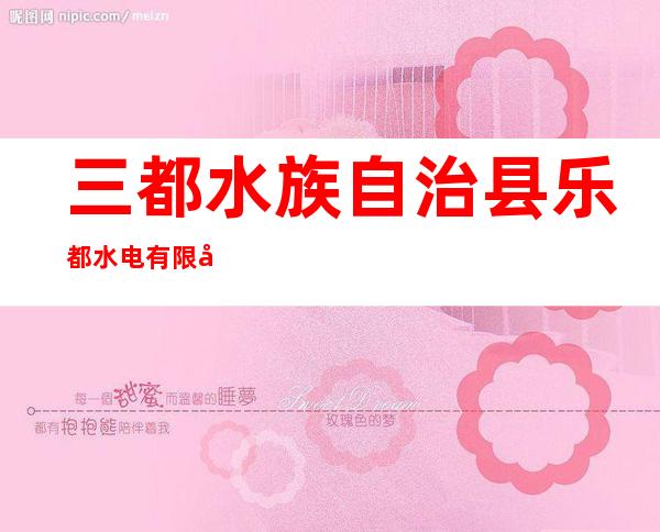 三都水族自治县乐都水电有限公司