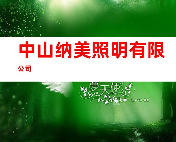 中山纳美照明有限公司