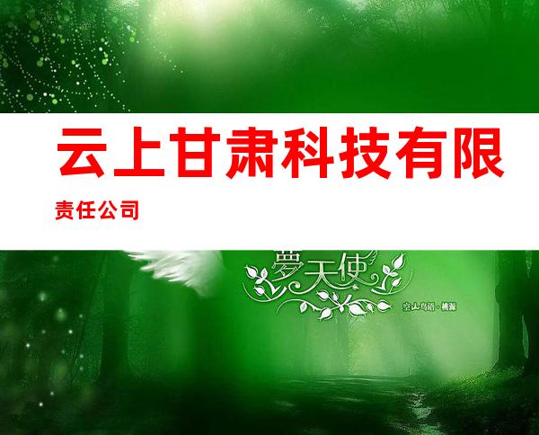云上甘肃科技有限责任公司