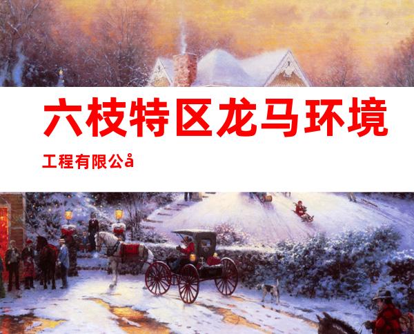 六枝特区龙马环境工程有限公司