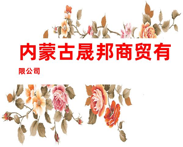 内蒙古晟邦商贸有限公司