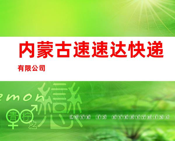 内蒙古速速达快递有限公司