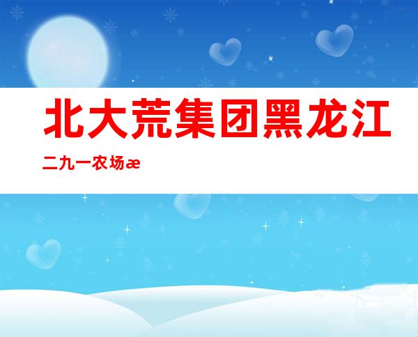 北大荒集团黑龙江二九一农场有限公司自来水管理站