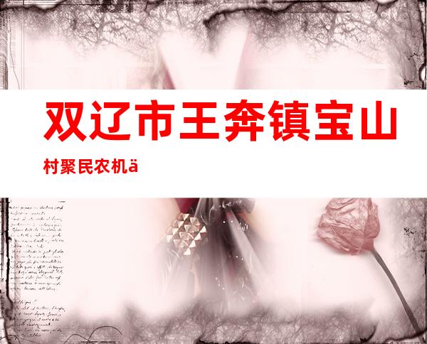 双辽市王奔镇宝山村聚民农机专业合作社