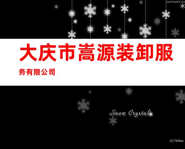 大庆市嵩源装卸服务有限公司