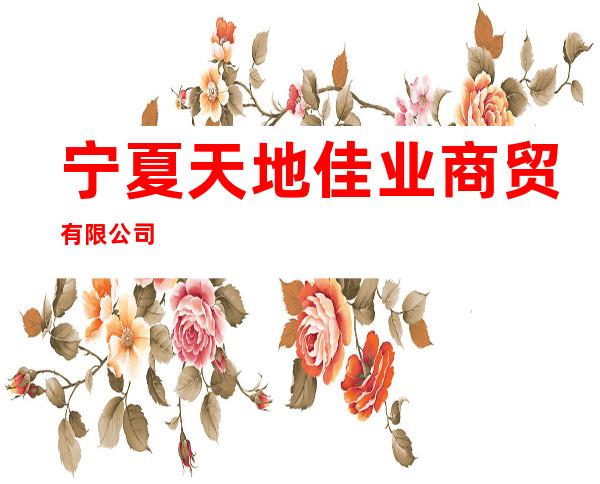 宁夏天地佳业商贸有限公司