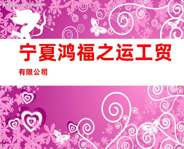 宁夏鸿福之运工贸有限公司
