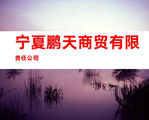 宁夏鹏天商贸有限责任公司