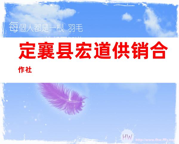定襄县宏道供销合作社