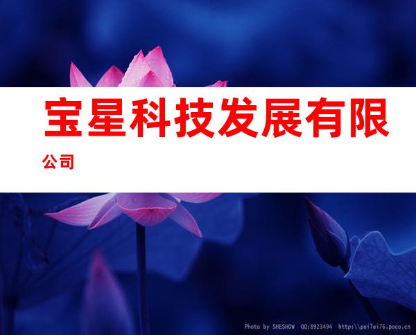 宝星科技发展有限公司