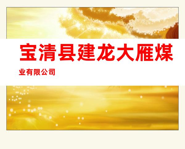 宝清县建龙大雁煤业有限公司