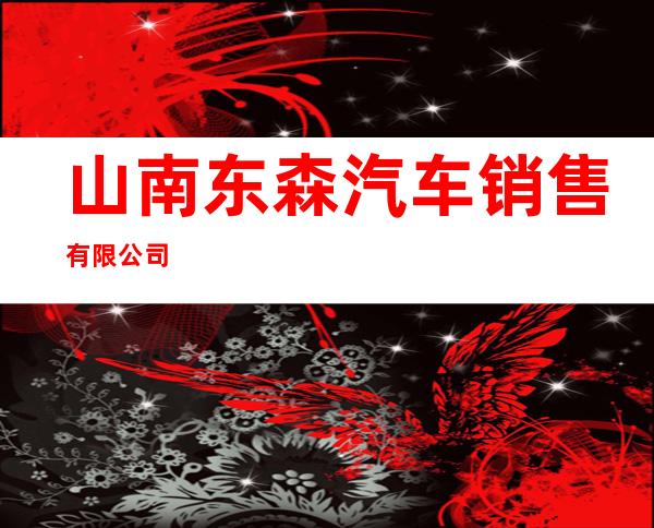 山南东森汽车销售有限公司