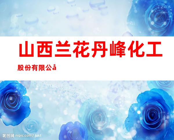 山西兰花丹峰化工股份有限公司