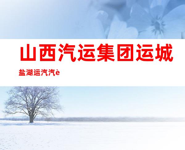 山西汽运集团运城盐湖运汽汽车运输有限公司