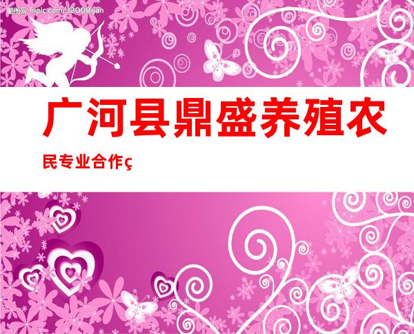 广河县鼎盛养殖农民专业合作社