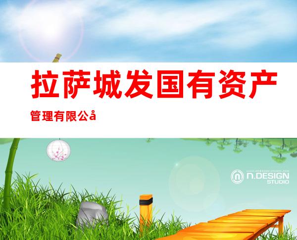 拉萨城发国有资产管理有限公司