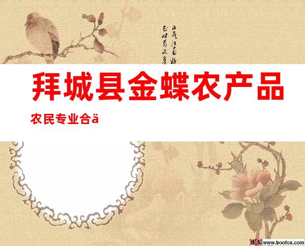 拜城县金蝶农产品农民专业合作社