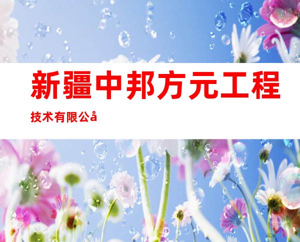 新疆中邦方元工程技术有限公司