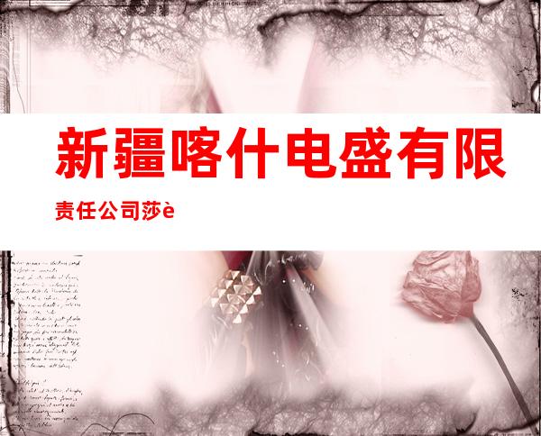 新疆喀什电盛有限责任公司莎车分公司