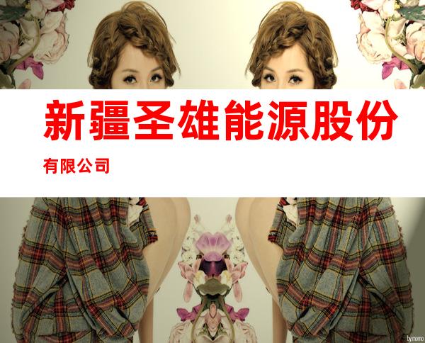 新疆圣雄能源股份有限公司