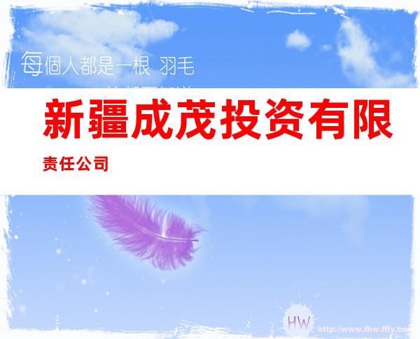 新疆成茂投资有限责任公司
