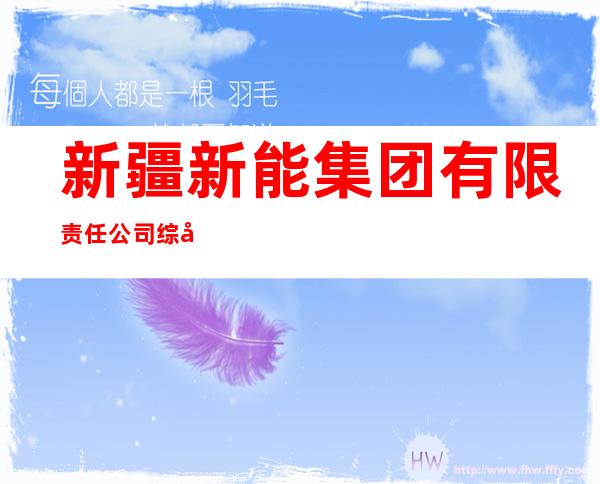 新疆新能集团有限责任公司综合管理分公司
