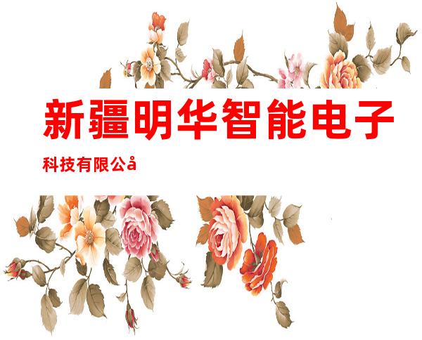 新疆明华智能电子科技有限公司