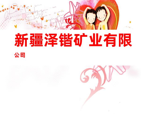 新疆泽锴矿业有限公司