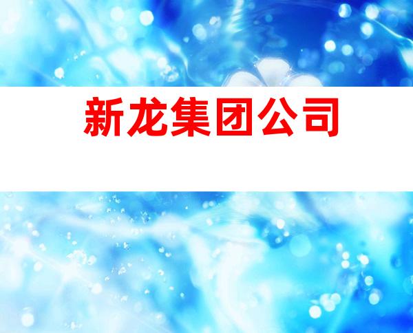 新龙集团公司