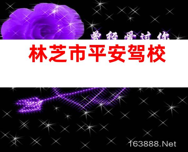林芝市平安驾校