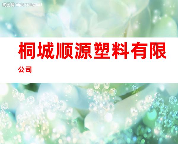 桐城顺源塑料有限公司