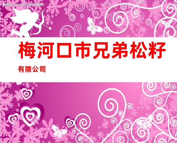 梅河口市兄弟松籽有限公司