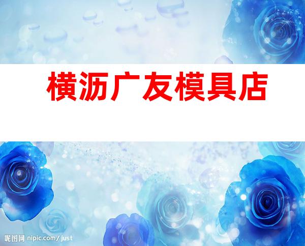 横沥广友模具店