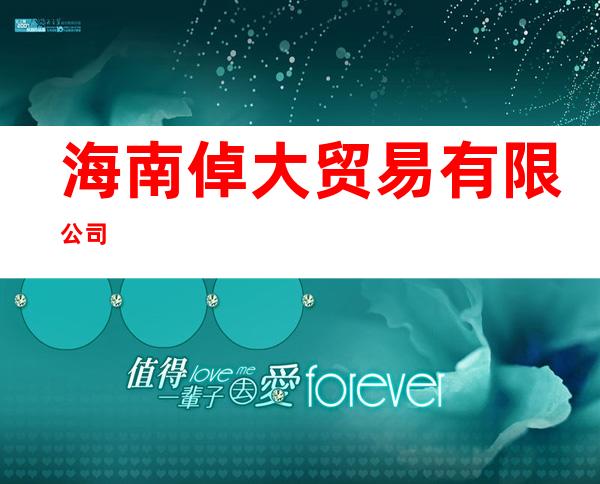 海南倬大贸易有限公司