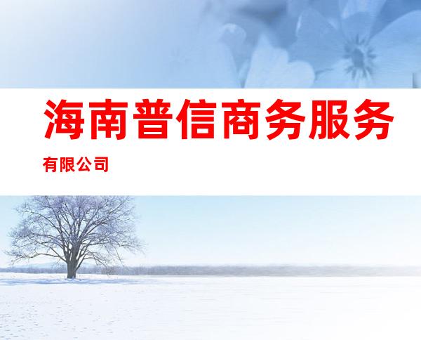 海南普信商务服务有限公司
