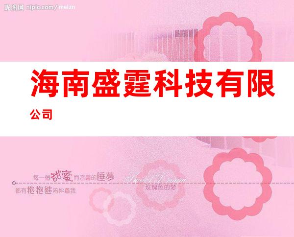海南盛霆科技有限公司