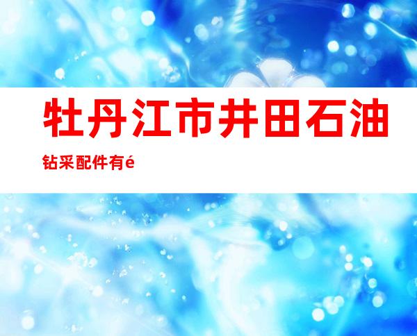 牡丹江市井田石油钻采配件有限公司