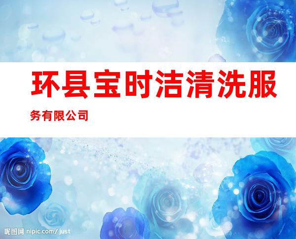 环县宝时洁清洗服务有限公司