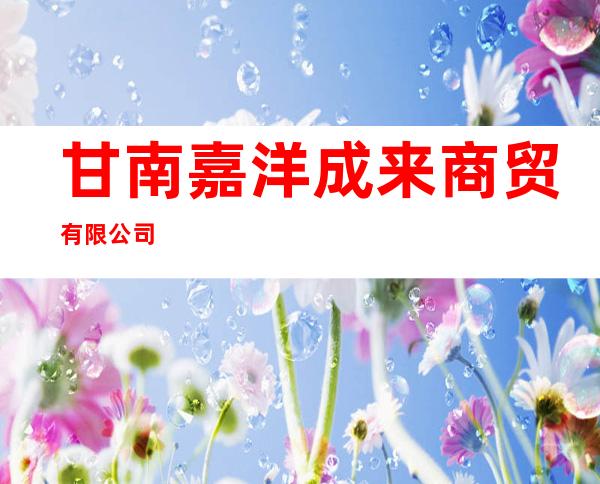 甘南嘉洋成来商贸有限公司