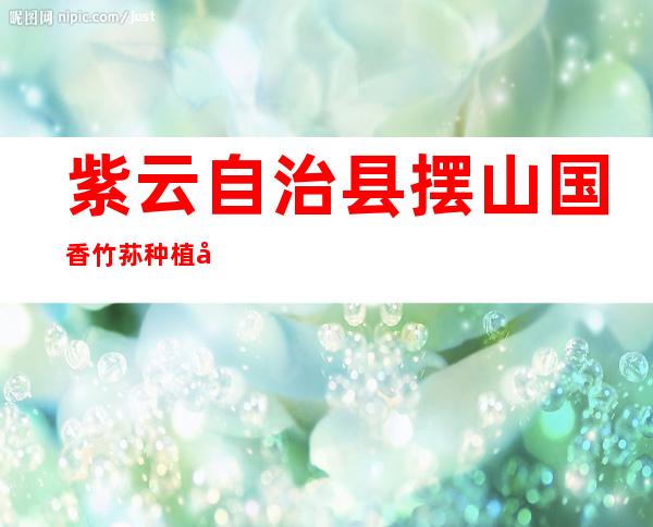 紫云自治县摆山国香竹荪种植场