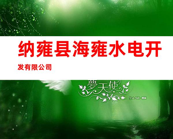 纳雍县海雍水电开发有限公司