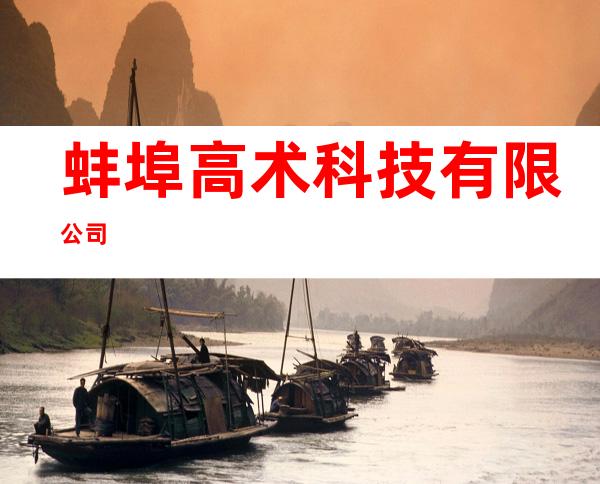 蚌埠高术科技有限公司
