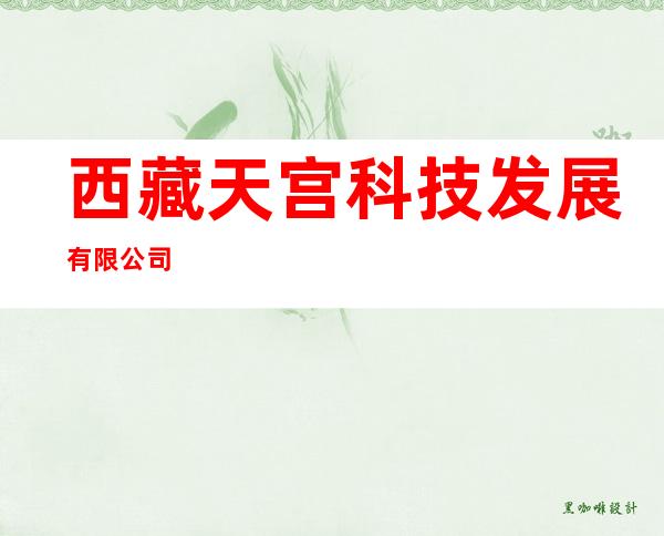 西藏天宫科技发展有限公司