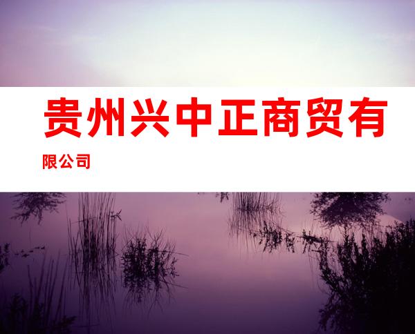 贵州兴中正商贸有限公司