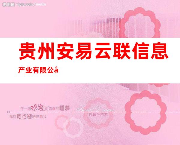 贵州安易云联信息产业有限公司