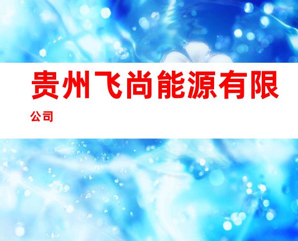 贵州飞尚能源有限公司