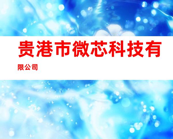 贵港市微芯科技有限公司
