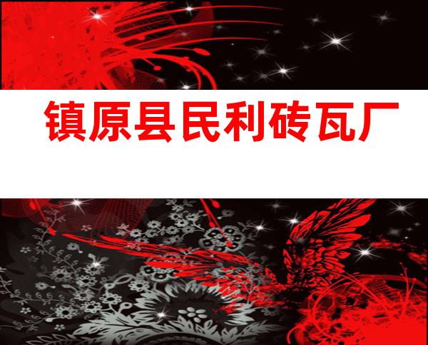 镇原县民利砖瓦厂