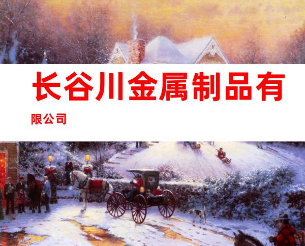 长谷川金属制品有限公司